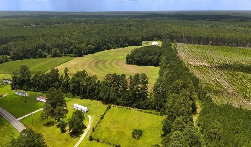 Photo #6 of 481 Nine Mile Rd, Maple Hill, NC 65.3 acres