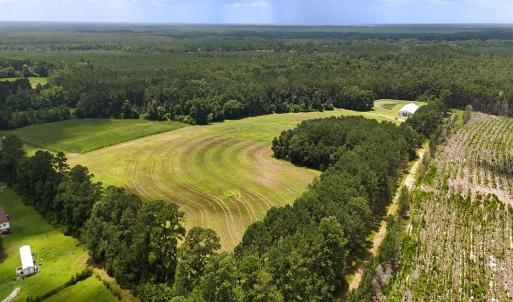 Photo #7 of 481 Nine Mile Rd, Maple Hill, NC 65.3 acres