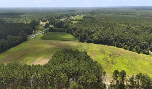 Photo #8 of 481 Nine Mile Rd, Maple Hill, NC 65.3 acres