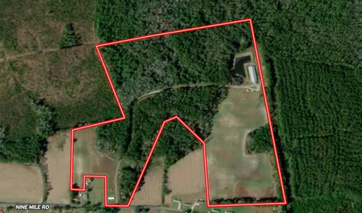 Photo #42 of 481 Nine Mile Rd, Maple Hill, NC 65.3 acres