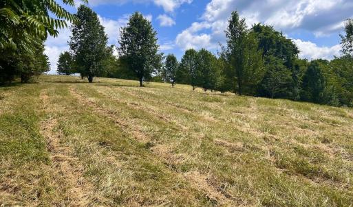 Photo #18 of Off Holiday Circle, Vinton, VA 2.1 acres