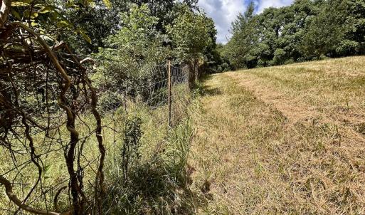 Photo #22 of Off Holiday Circle, Vinton, VA 2.1 acres