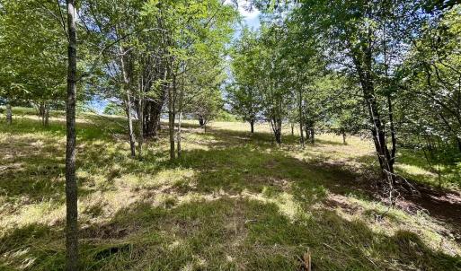 Photo #23 of Off Holiday Circle, Vinton, VA 2.1 acres