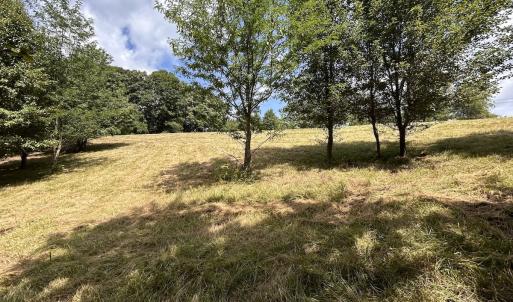 Photo #25 of Off Holiday Circle, Vinton, VA 2.1 acres