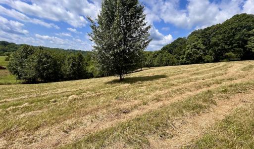Photo #7 of Off Holiday Circle, Vinton, VA 2.1 acres