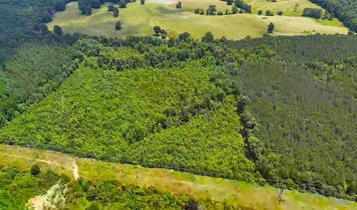 Photo #10 of Off US HWY 220 S, Asheboro, NC 32.3 acres