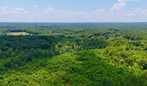 Photo #17 of Off US HWY 220 S, Asheboro, NC 32.3 acres
