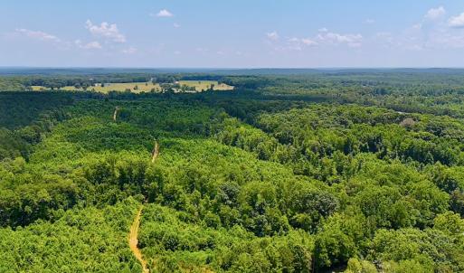 Photo #20 of Off US HWY 220 S, Asheboro, NC 32.3 acres