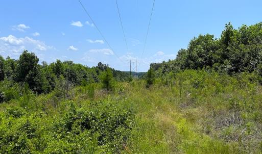 Photo #21 of Off US HWY 220 S, Asheboro, NC 32.3 acres