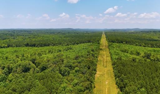Photo #9 of Off US HWY 220 S, Asheboro, NC 32.3 acres