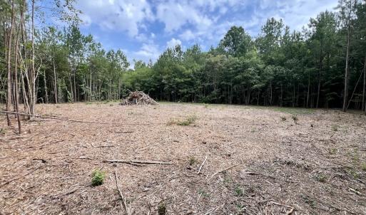 Photo #10 of Off Boss McLawhorn Rd, Grifton, NC 25.2 acres