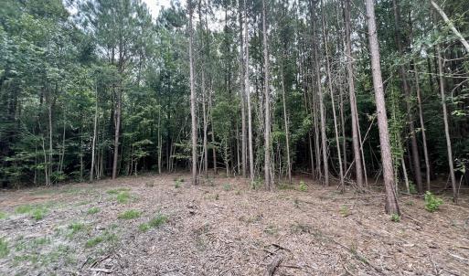 Photo #11 of Off Boss McLawhorn Rd, Grifton, NC 25.2 acres