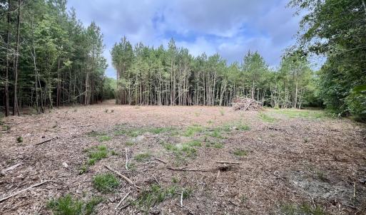 Photo #12 of Off Boss McLawhorn Rd, Grifton, NC 25.2 acres