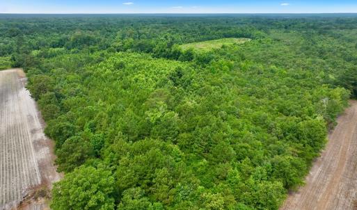 Photo #13 of Off Boss McLawhorn Rd, Grifton, NC 25.2 acres