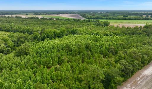 Photo #14 of Off Boss McLawhorn Rd, Grifton, NC 25.2 acres