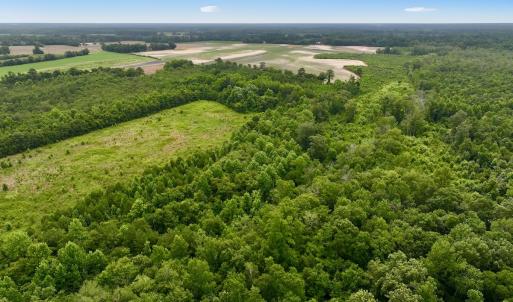 Photo #15 of Off Boss McLawhorn Rd, Grifton, NC 25.2 acres