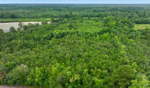 Photo #16 of Off Boss McLawhorn Rd, Grifton, NC 25.2 acres