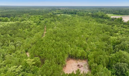 Photo #18 of Off Boss McLawhorn Rd, Grifton, NC 25.2 acres