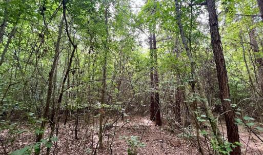Photo #19 of Off Boss McLawhorn Rd, Grifton, NC 25.2 acres