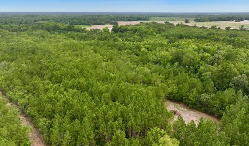 Photo #1 of Off Boss McLawhorn Rd, Grifton, NC 25.2 acres