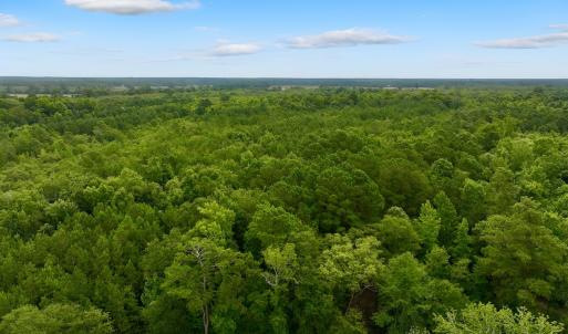 Photo #2 of Off Boss McLawhorn Rd, Grifton, NC 25.2 acres