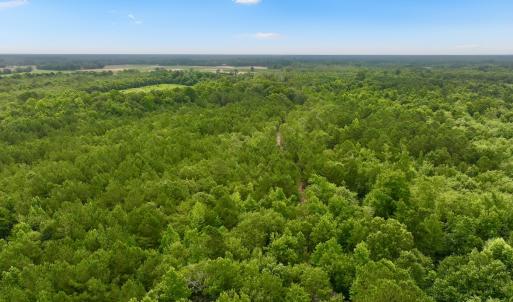 Photo #3 of Off Boss McLawhorn Rd, Grifton, NC 25.2 acres