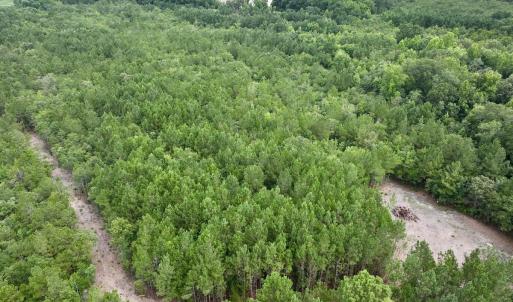 Photo #4 of Off Boss McLawhorn Rd, Grifton, NC 25.2 acres