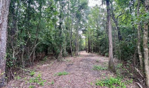 Photo #6 of Off Boss McLawhorn Rd, Grifton, NC 25.2 acres