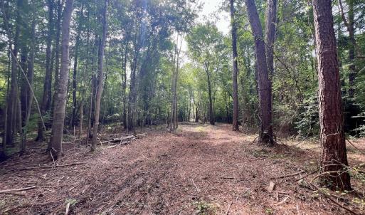 Photo #7 of Off Boss McLawhorn Rd, Grifton, NC 25.2 acres