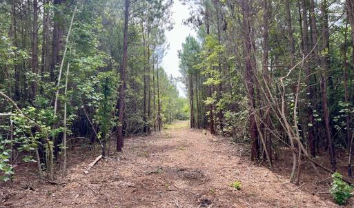 Photo #8 of Off Boss McLawhorn Rd, Grifton, NC 25.2 acres