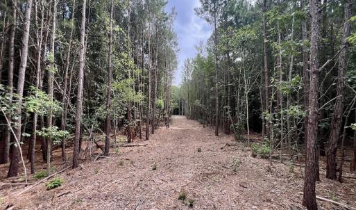 Photo #9 of Off Boss McLawhorn Rd, Grifton, NC 25.2 acres