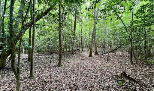 Photo #21 of Off Boss McLawhorn Rd, Grifton, NC 25.2 acres