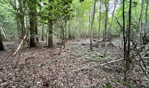 Photo #22 of Off Boss McLawhorn Rd, Grifton, NC 25.2 acres