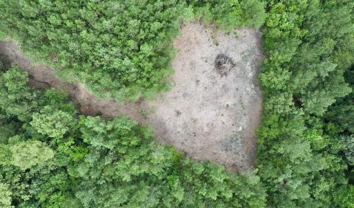 Photo #23 of Off Boss McLawhorn Rd, Grifton, NC 25.2 acres