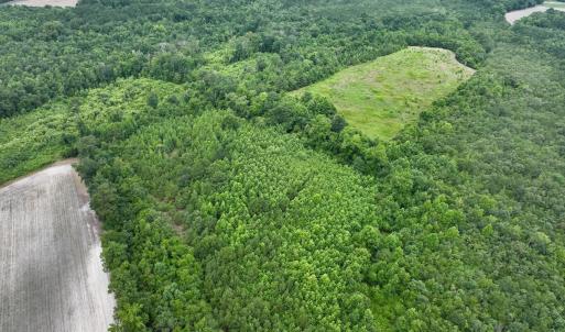 Photo #24 of Off Boss McLawhorn Rd, Grifton, NC 25.2 acres