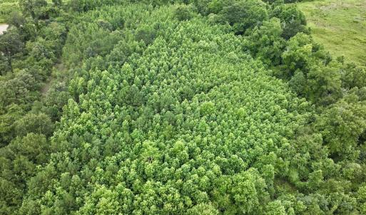 Photo #26 of Off Boss McLawhorn Rd, Grifton, NC 25.2 acres