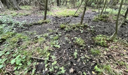Photo #27 of Off Boss McLawhorn Rd, Grifton, NC 25.2 acres
