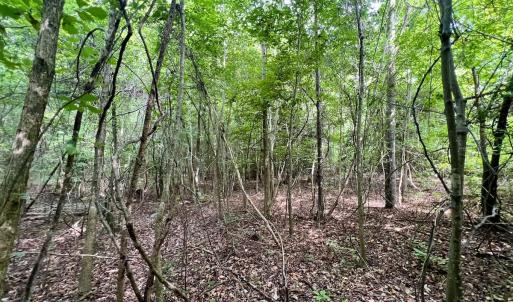 Photo #28 of Off Boss McLawhorn Rd, Grifton, NC 25.2 acres