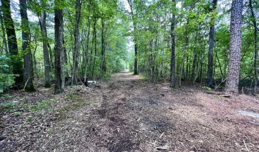 Photo #12 of 337 Pamlico Beach Rd, Belhaven, NC 1.8 acres