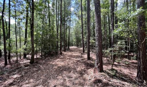 Photo #14 of 337 Pamlico Beach Rd, Belhaven, NC 1.8 acres
