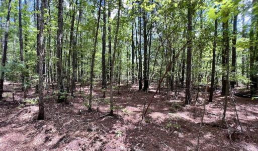 Photo #15 of 337 Pamlico Beach Rd, Belhaven, NC 1.8 acres
