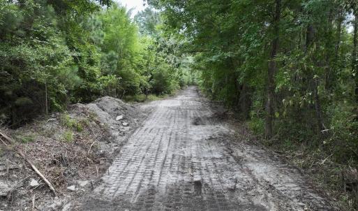 Photo #16 of 337 Pamlico Beach Rd, Belhaven, NC 1.8 acres