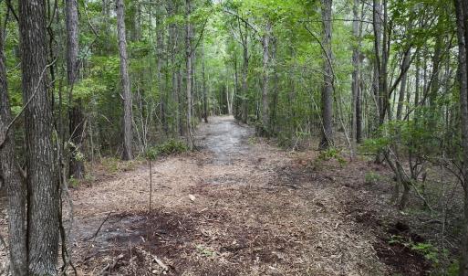Photo #17 of 337 Pamlico Beach Rd, Belhaven, NC 1.8 acres