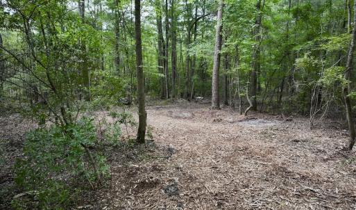 Photo #18 of 337 Pamlico Beach Rd, Belhaven, NC 1.8 acres