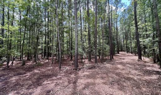 Photo #19 of 337 Pamlico Beach Rd, Belhaven, NC 1.8 acres