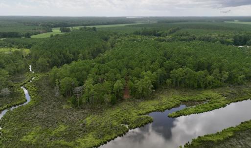 Photo #2 of 337 Pamlico Beach Rd, Belhaven, NC 1.8 acres