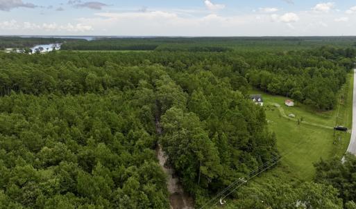 Photo #3 of 337 Pamlico Beach Rd, Belhaven, NC 1.8 acres
