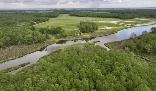 Photo #4 of 337 Pamlico Beach Rd, Belhaven, NC 1.8 acres
