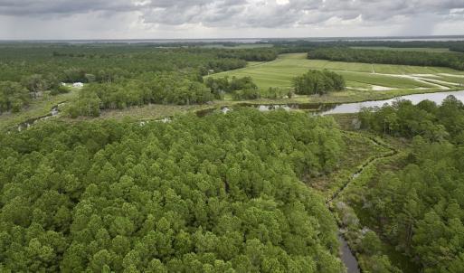 Photo #5 of 337 Pamlico Beach Rd, Belhaven, NC 1.8 acres