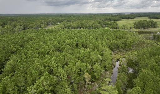 Photo #6 of 337 Pamlico Beach Rd, Belhaven, NC 1.8 acres